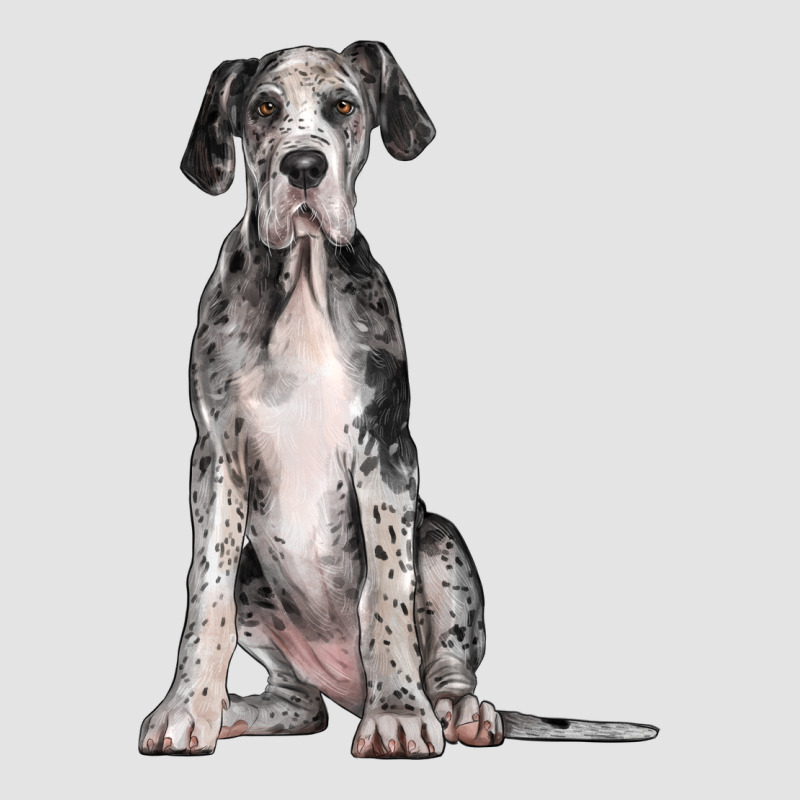 Great Dane Dog Premium Sweatshirt by LillyAllenDesigns | Teevron