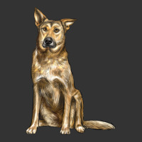 chinook dog | Teevron