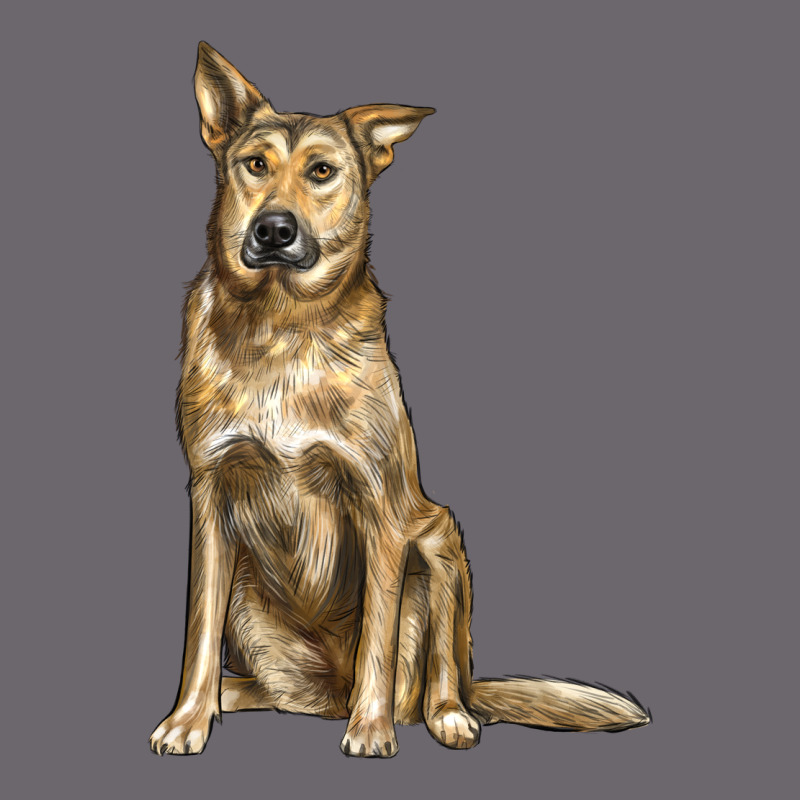 Chinook Dog Premium Sweatshirt by LillyAllenDesigns | Teevron