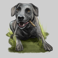 Texas Blue Lacy Dog Premium Sweatshirt | Teevron