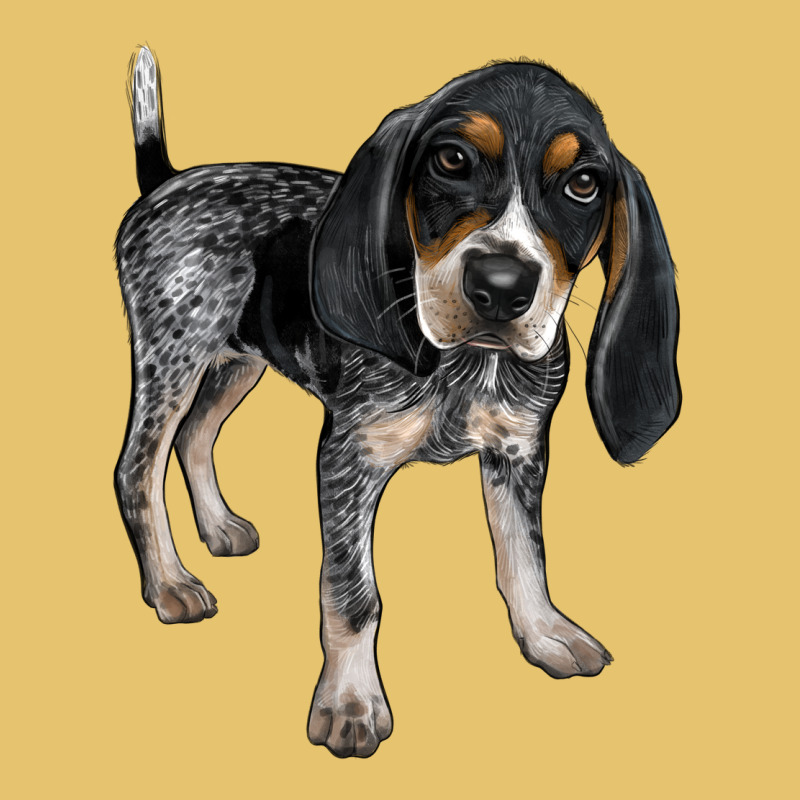 Bluetick Coonhound Premium Sweatshirt by LillyAllenDesigns | Teevron