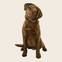 Chesapeake Bay Retriever Premium Sweatshirt | Teevron