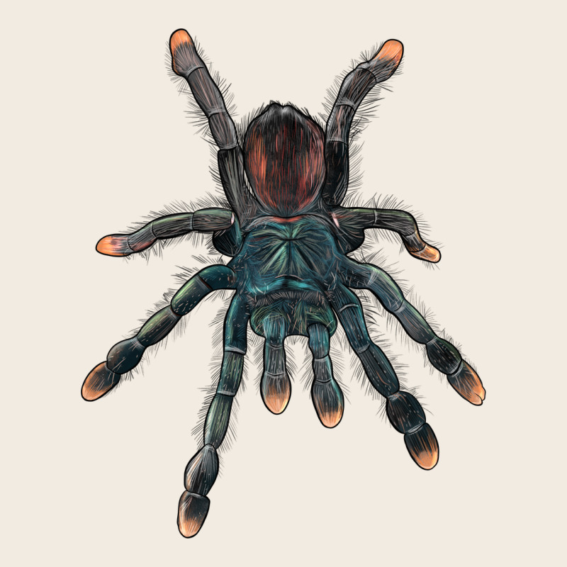 Pink Toe Tarantula Premium Sweatshirt by LillyAllenDesigns | Teevron
