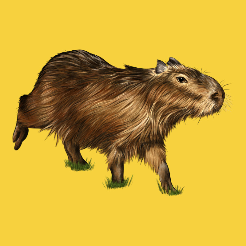 Capybara Premium Sweatshirt by LillyAllenDesigns | Teevron