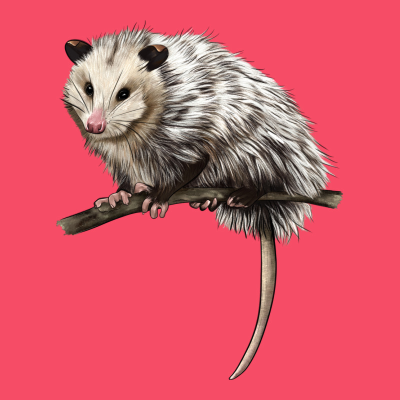 Opossum Premium Sweatshirt by LillyAllenDesigns | Teevron