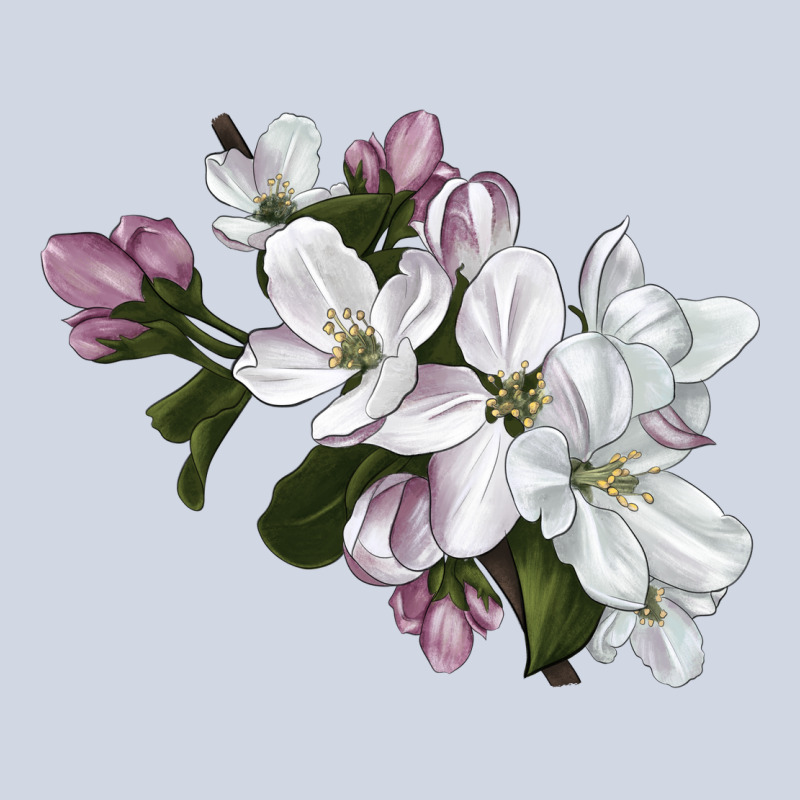 Apple Blossom Premium Sweatshirt by LillyAllenDesigns | Teevron