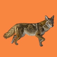 Coyote Premium Sweatshirt | Teevron