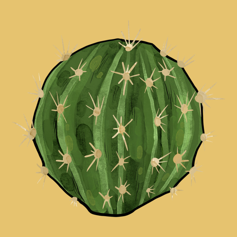 Cactus Premium Sweatshirt by BarkalooDesign | Teevron