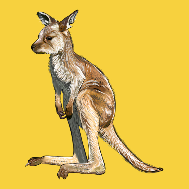 Baby Kangaroo Premium Sweatshirt by LillyAllenDesigns | Teevron