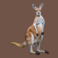 Kangaroo Premium Sweatshirt | Teevron