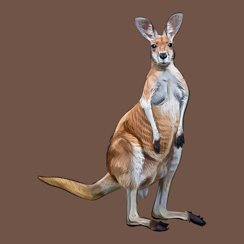 Kangaroo Premium Sweatshirt by LillyAllenDesigns | Teevron