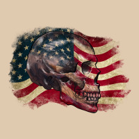 Red White Rawr 4th Of July Classic Tee | Teevron