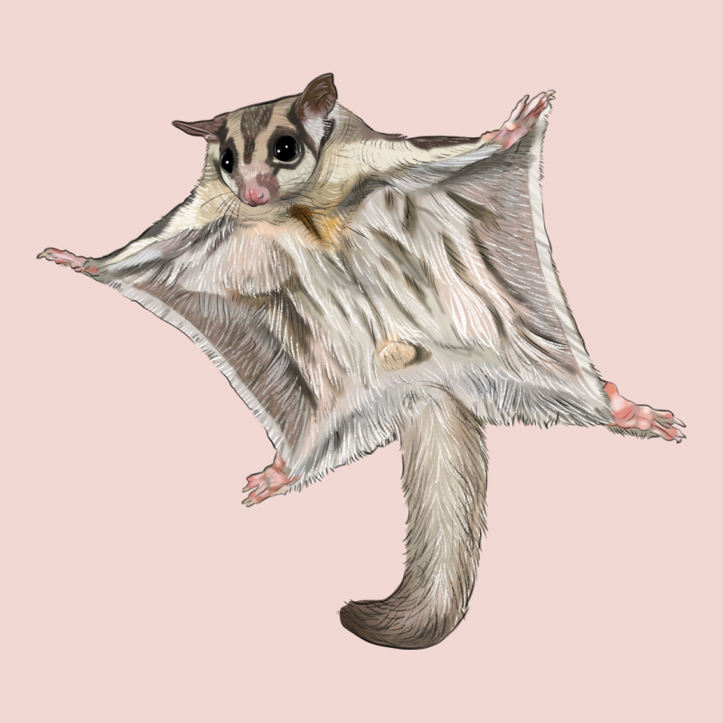 Sugar Glider Premium Sweatshirt by LillyAllenDesigns | Teevron