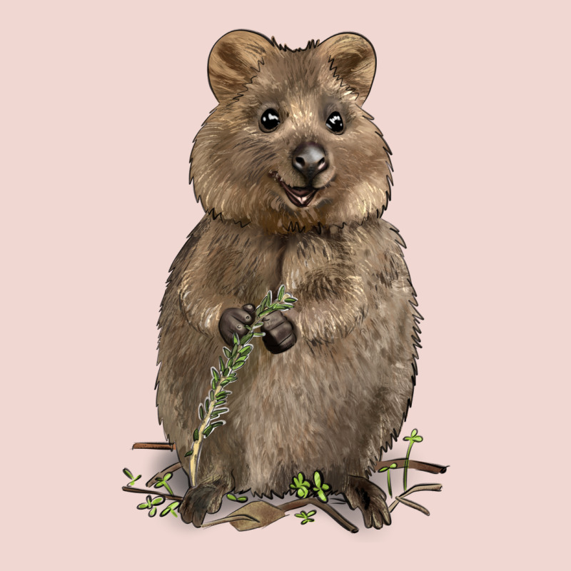 Quokka Premium Sweatshirt by LillyAllenDesigns | Teevron