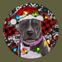Pitbull And Buffalo Plaid Vintage Tee | Teevron