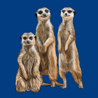 3 Meerkat Premium Sweatshirt | Teevron