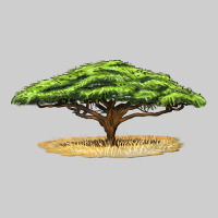 Acacia Tree Premium Sweatshirt | Teevron