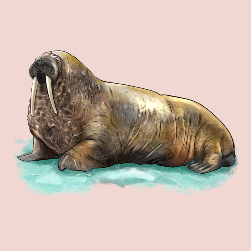 Walrus Premium Sweatshirt by LillyAllenDesigns | Teevron