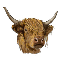highland cow | Teevron