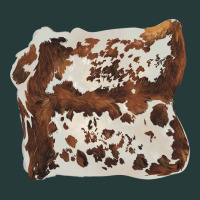 Hand Drawn Cowhide Cow Fur Premium Sweatshirt | Teevron