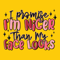 I Promise I'm Nicer Than My Face Looks Premium Hoodie | Teevron