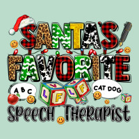Santas Favorite Speech Therapist Premium Hoodie | Teevron