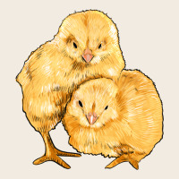 Chicks Premium Sweatshirt | Teevron
