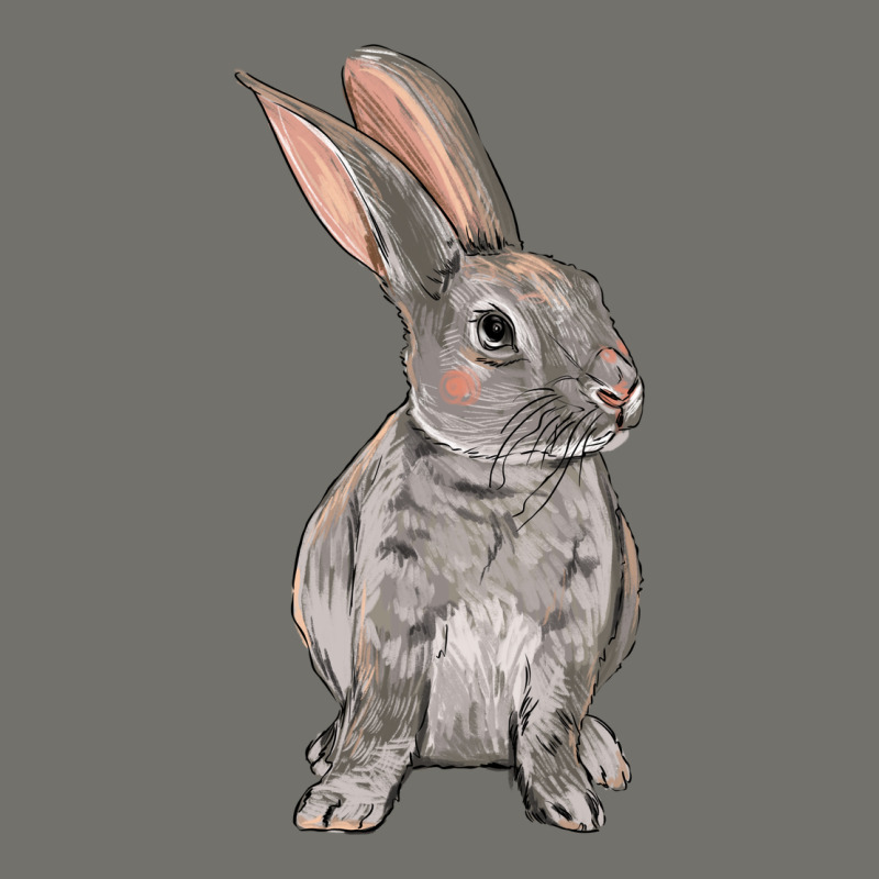 Easter Bunny Premium Hoodie by NancyCooperArtShop | Teevron
