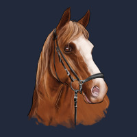 Horse Portrait Premium Sweatshirt | Teevron
