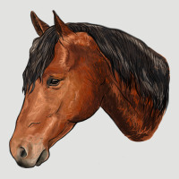 Horse Classic Tee | Teevron