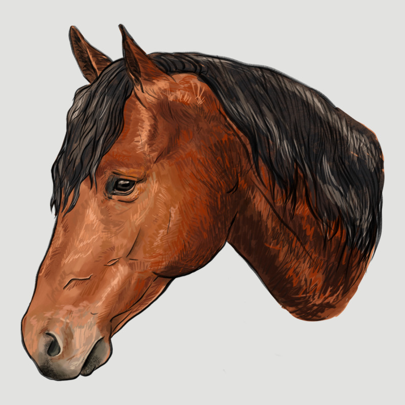Horse Classic Tee by RanaPortraitStore | Teevron
