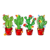 Christmas Cactuses | Teevron