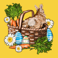 Easter Bunny In Basket Wıth Carrot And Eggs Premium Sweatshirt | Teevron