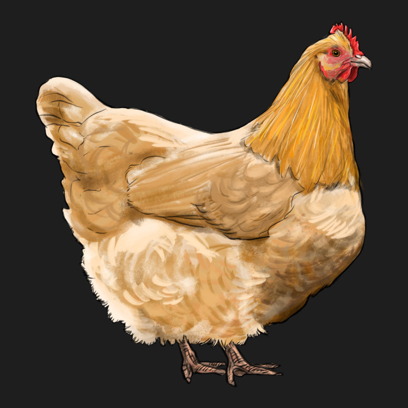 Chicken Classic Tee by RanaPortraitStore | Teevron