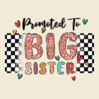 Promoted To Big Sister Premium Hoodie | Teevron