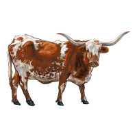 longhorn | Teevron