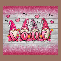Valentine's Day Gnomes Premium Hoodie | Teevron