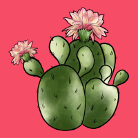 Cactus Premium Sweatshirt | Teevron