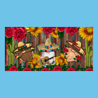 Hispanic Heritage Month Gnomes Tumbler License Plate Premium Sweatshirt | Teevron
