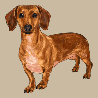Dachshund Long Sleeve Tee | Teevron
