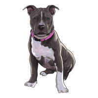 pitbull | Teevron
