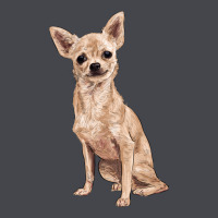 Chihuahua Long Sleeve Tee | Teevron
