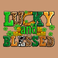 Lucky And Blessed With Coins And Shamrocks Heavyweight Hoodie | Teevron