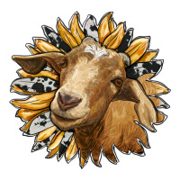 sunflower with goat | Teevron