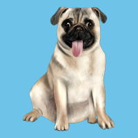 Pug Premium Sweatshirt | Teevron
