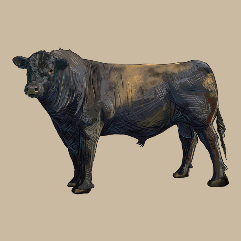 Black Angus Bull Long Sleeve Tee by RanaPortraitStore | Teevron