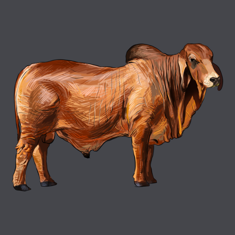 Brahman Bull Long Sleeve Tee by RanaPortraitStore | Teevron