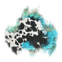 cowhide turquoise patch | Teevron