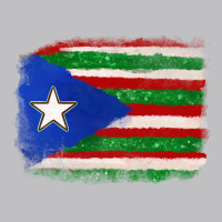 Mexico And Puerto Rico Flag Classic Tee | Teevron