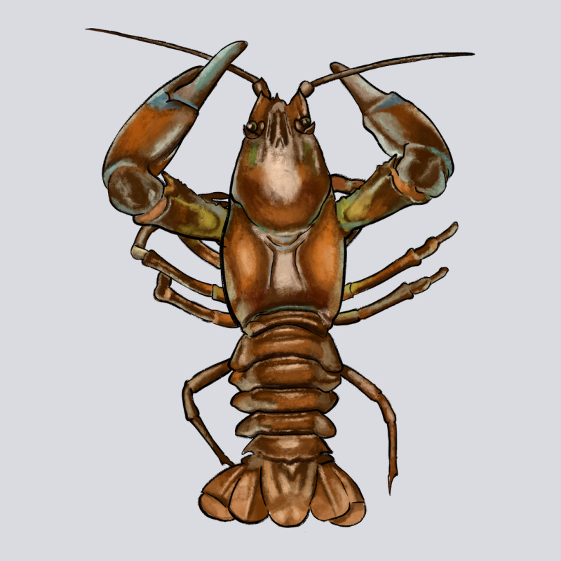 Crawfish Zipper Hoodie by FaDigitalArtStudio | Teevron